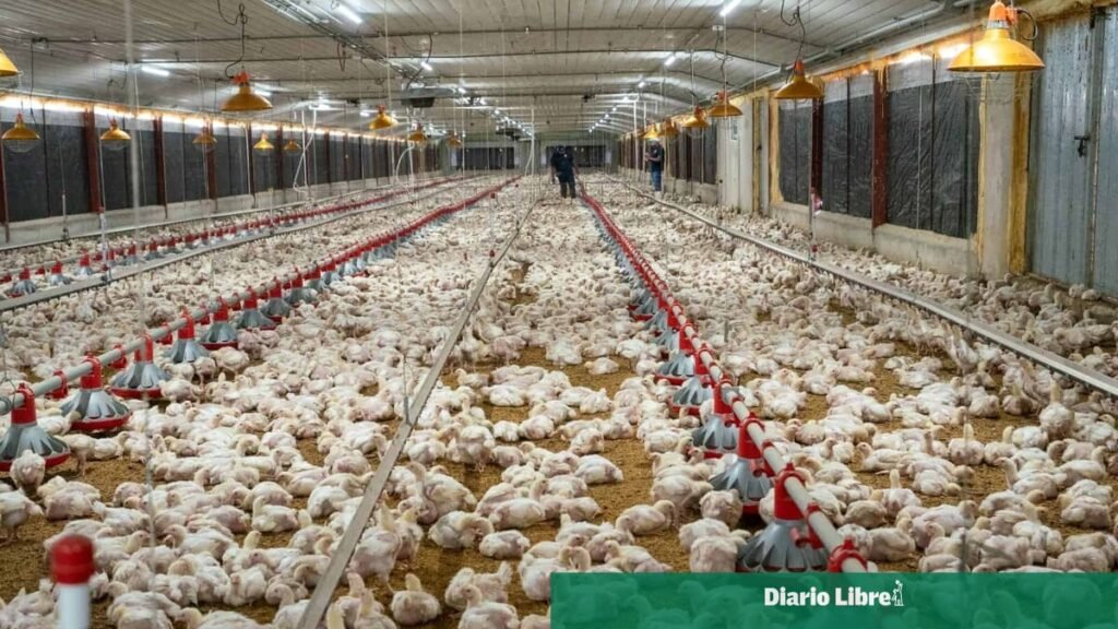 ADA respalda la ley que deja fijo el alivio fiscal al agro