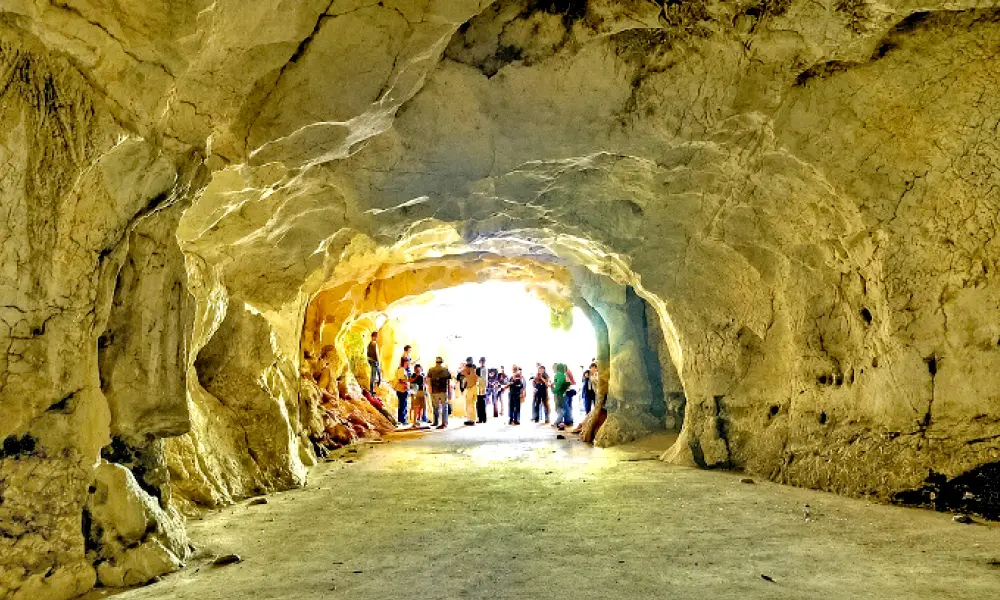 Docalsa plantea recuperar más de 86 mil metros cuadrados en Pomier tras impactos mineros previos