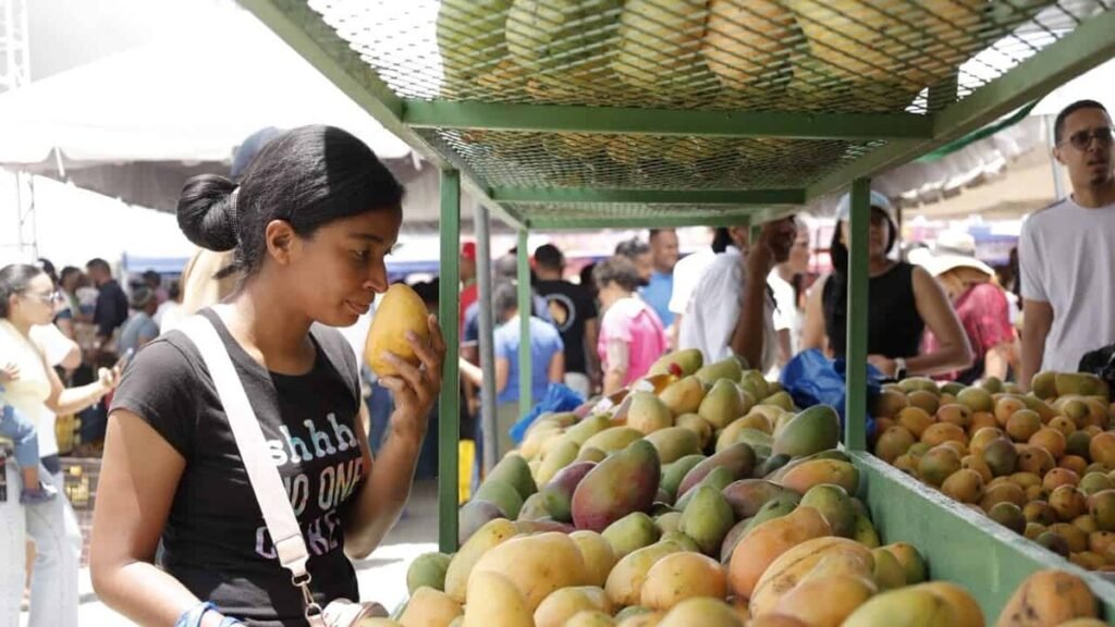 Baní es declarada “Capital del Mango” y se reaviva la discusión sobre el simbolismo legislativo