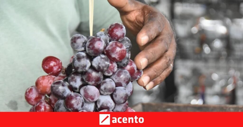 Tradición y sustento en la carretera del Sur exponen la dependencia de miles de viajeros del comercio informal