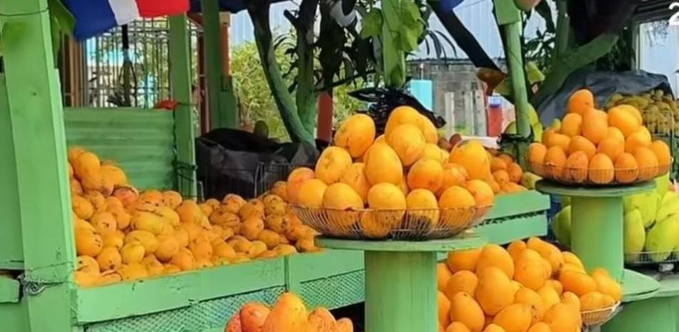 Hipólito Mejía contrasta el entusiasmo de Expomango con la pérdida de una finca banileja que, dijo, dejaron morir