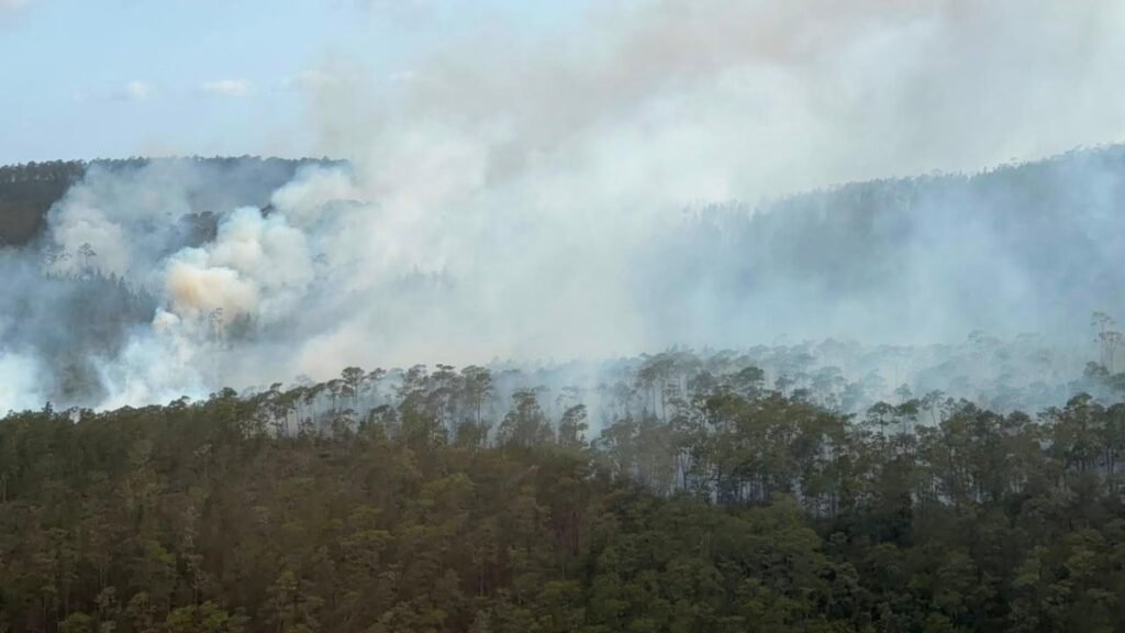 Refuerzan operativo en Sierra de Bahoruco para contener un incendio que sigue activo
