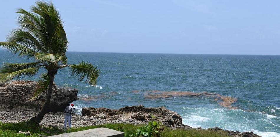 Sargazo aparece en el Malecón mientras no se anuncian medidas específicas