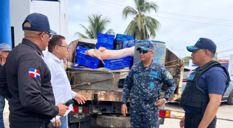 Incautan más de dos toneladas de carne descompuesta en un matadero clandestino de Río San Juan