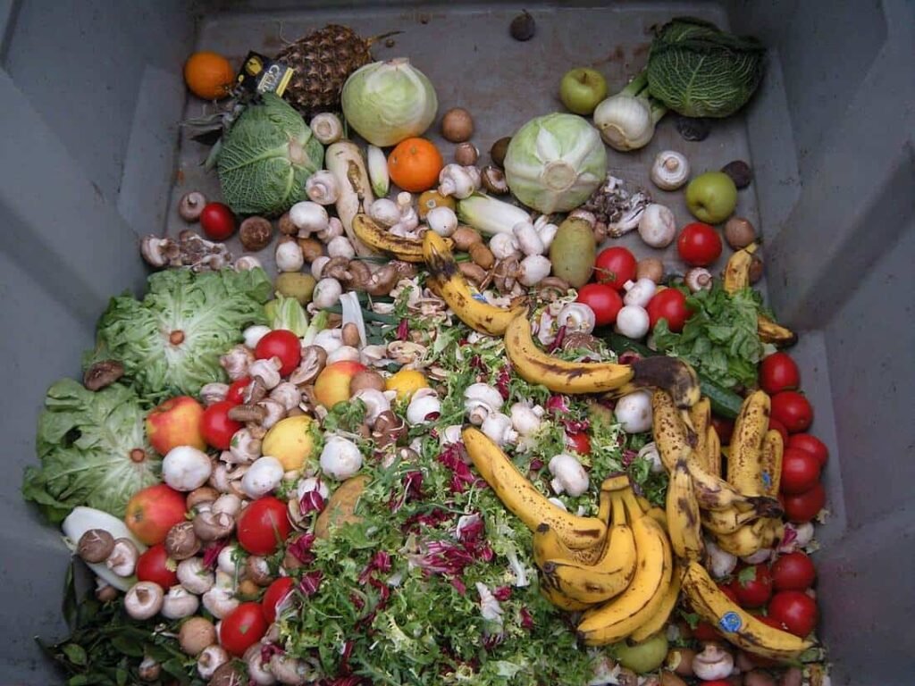 Desperdicio de alimentos: RD figura entre los países con más normas, pero la aplicación sigue rezagada