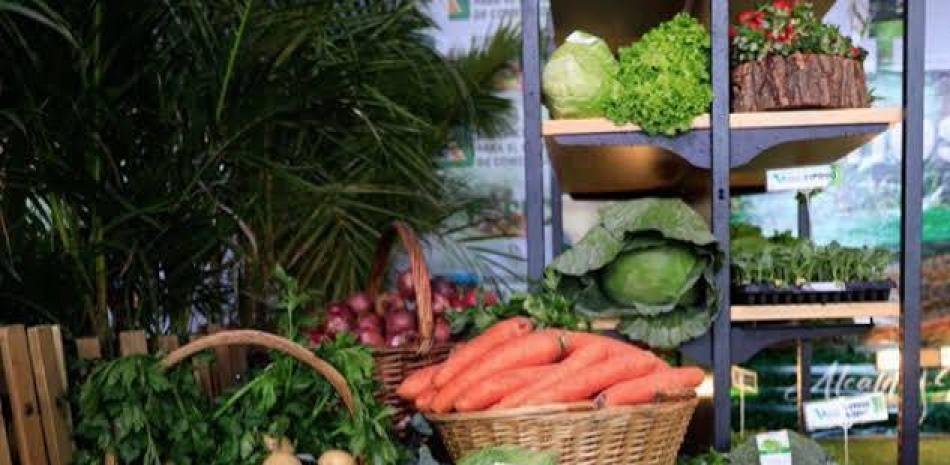 Constanza se hunde entre importaciones y pérdidas: crece la presión por explicaciones sobre el manejo del campo