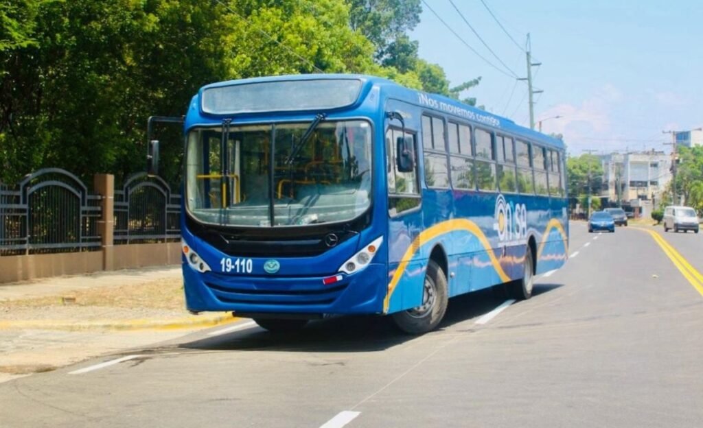 OMSA pone en marcha una ruta gratis para SD 2026 y deja en primer plano la prueba logística del transporte