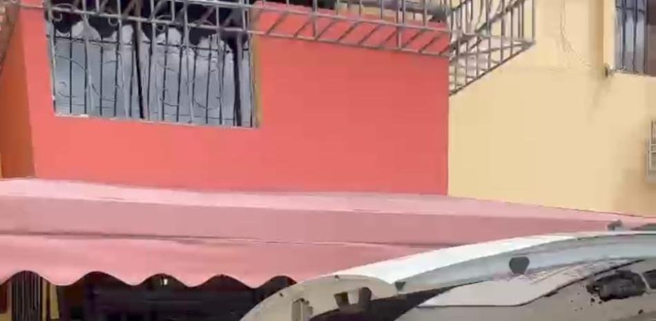 Además de la pareja fallecida, aparece muerto el perro en el apartamento de Rómulo Betancourt