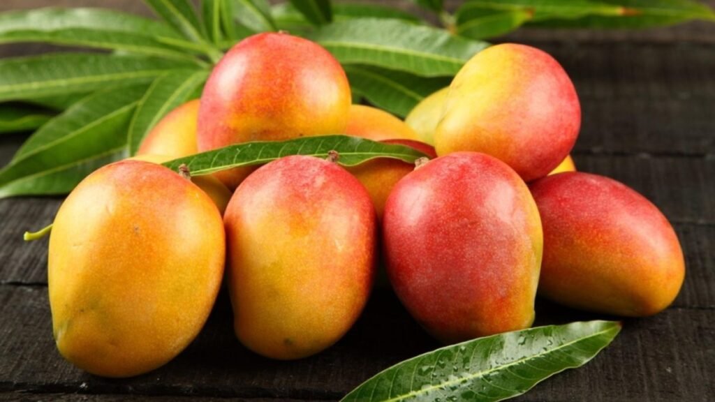 Suspensión del mango en EE. UU. expone fallas de control que el país arrastra desde hace años