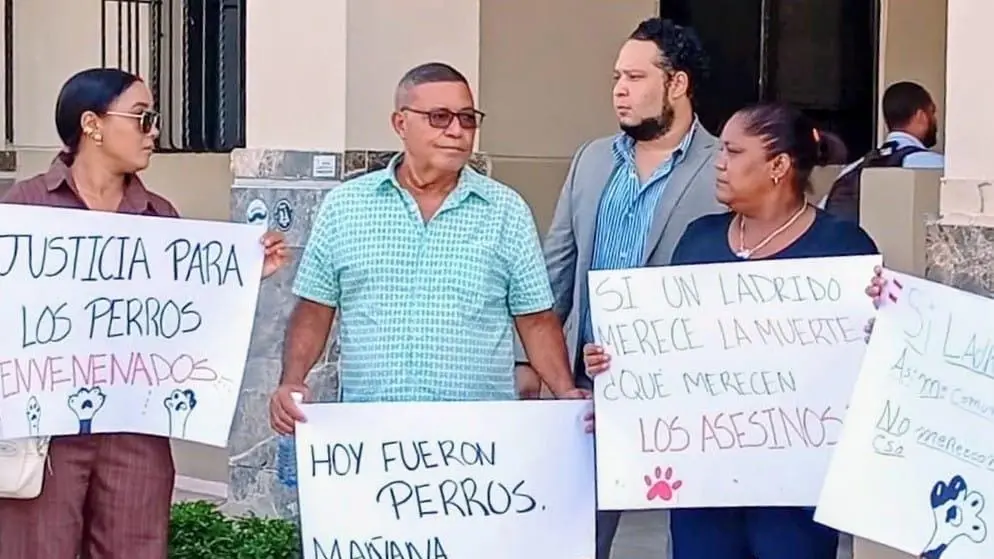 Vigilia en Puerto Plata eleva presión por respuesta oficial ante envenenamiento de perros y gatos