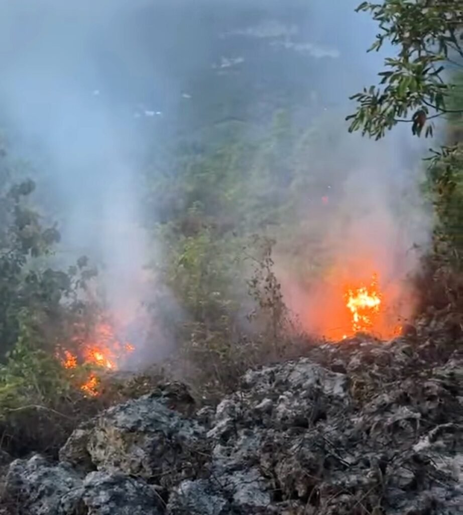 Dos incendios en Puerto Plata reabren presión sobre Medio Ambiente para identificar responsables