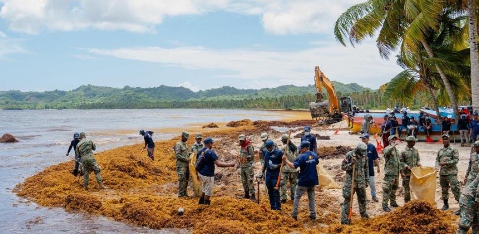 Playa Rincón obliga a desplegar un operativo tras la avalancha de sargazo