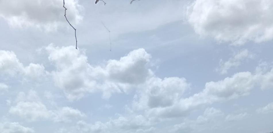 Sequía en el oeste de Puerto Plata agrava la crisis del campo y activa pedidos de ayuda