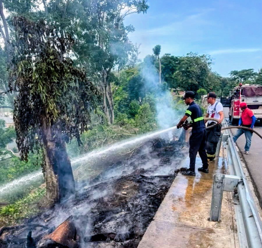 Caída de árbol bloquea carretera en Luperón y expone la fragilidad del tránsito en la zona
